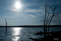 Location: Baie du Febvre, Quebec