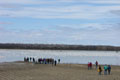 Photo: Sim22, location: Baie du Febvre / Lac St. Pierre, Quebec (April 9, 2006)